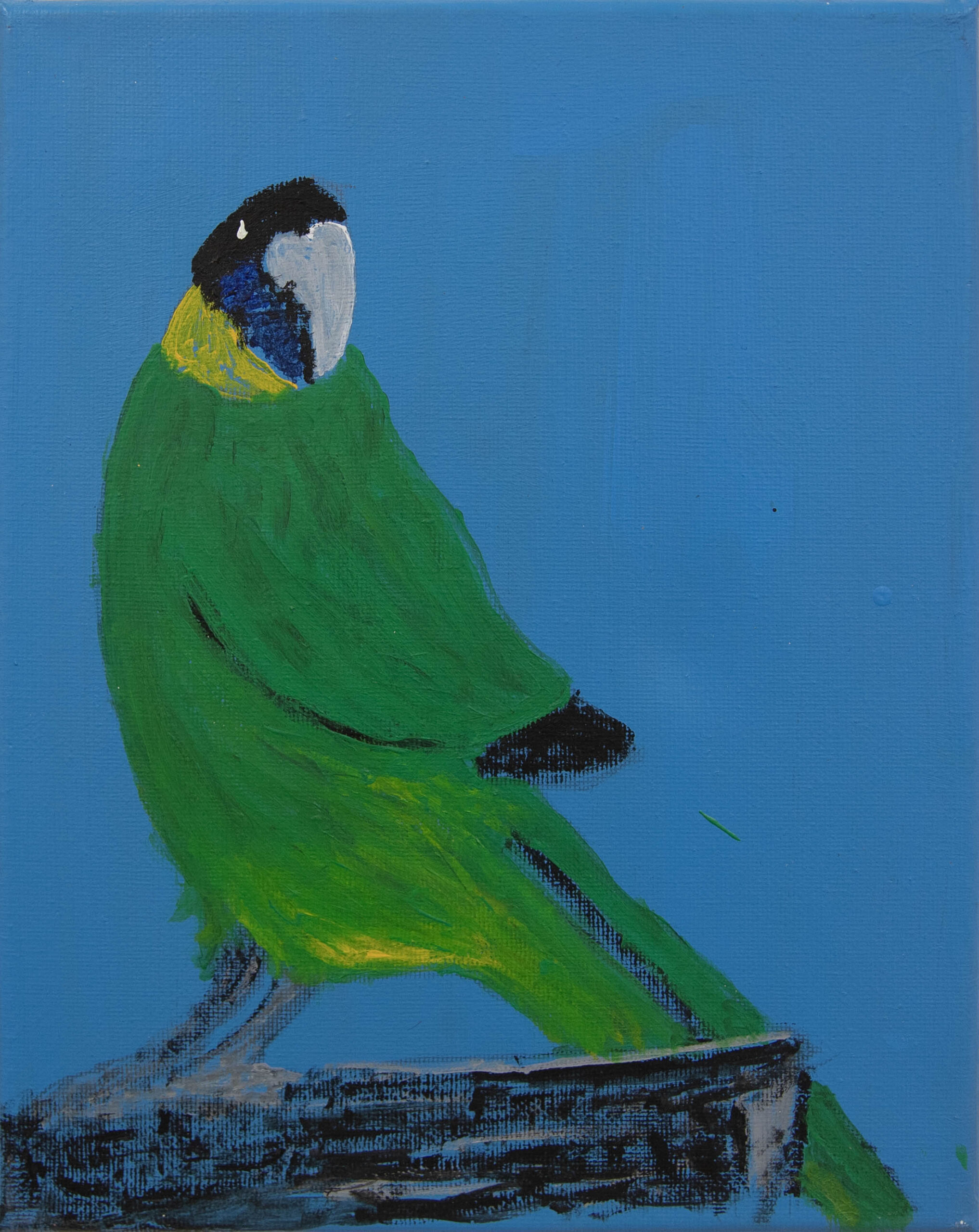 Jeffrey's Birds - Paintings - Jeffrey  Lewis