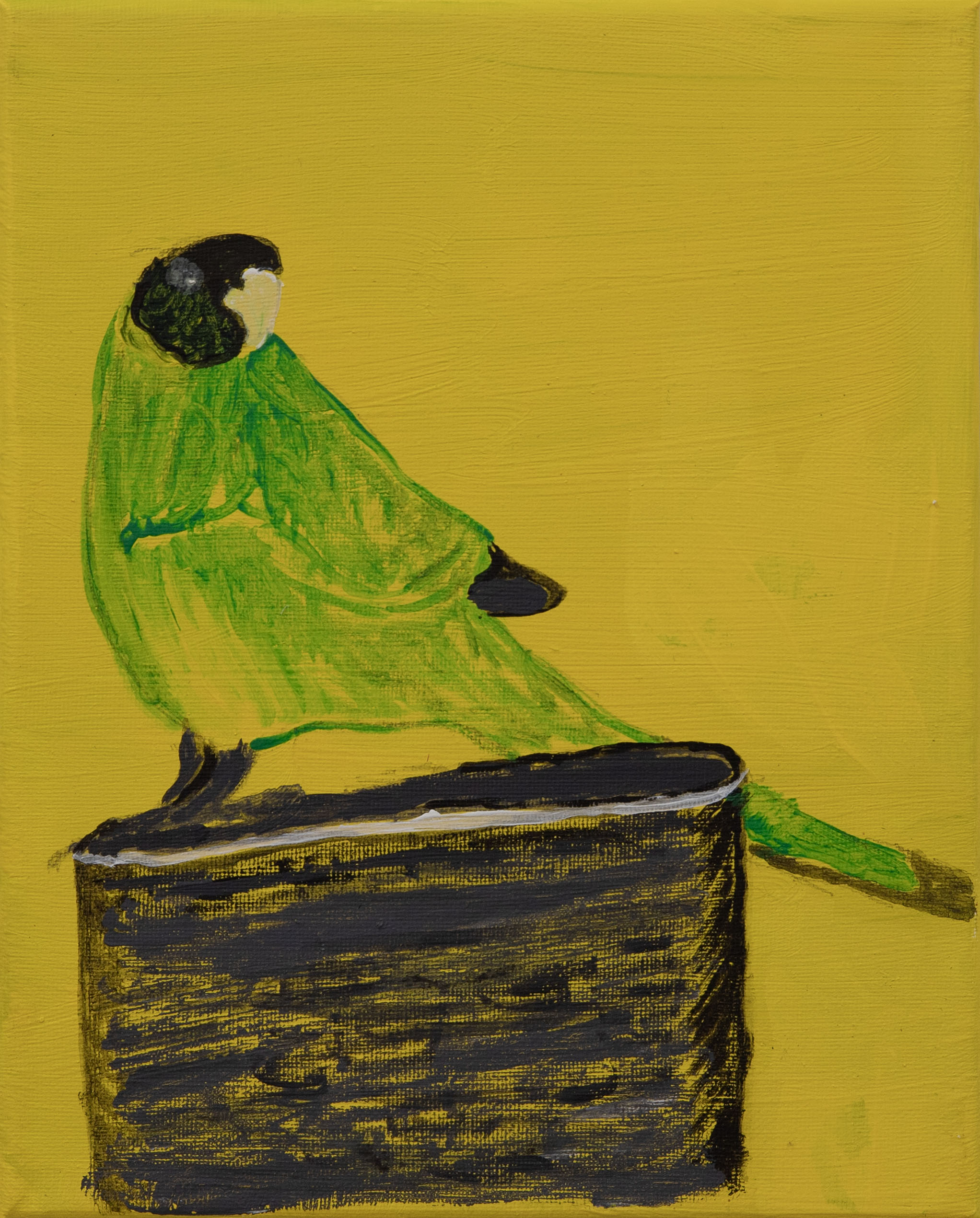 Jeffrey's Birds - Paintings - Jeffrey  Lewis