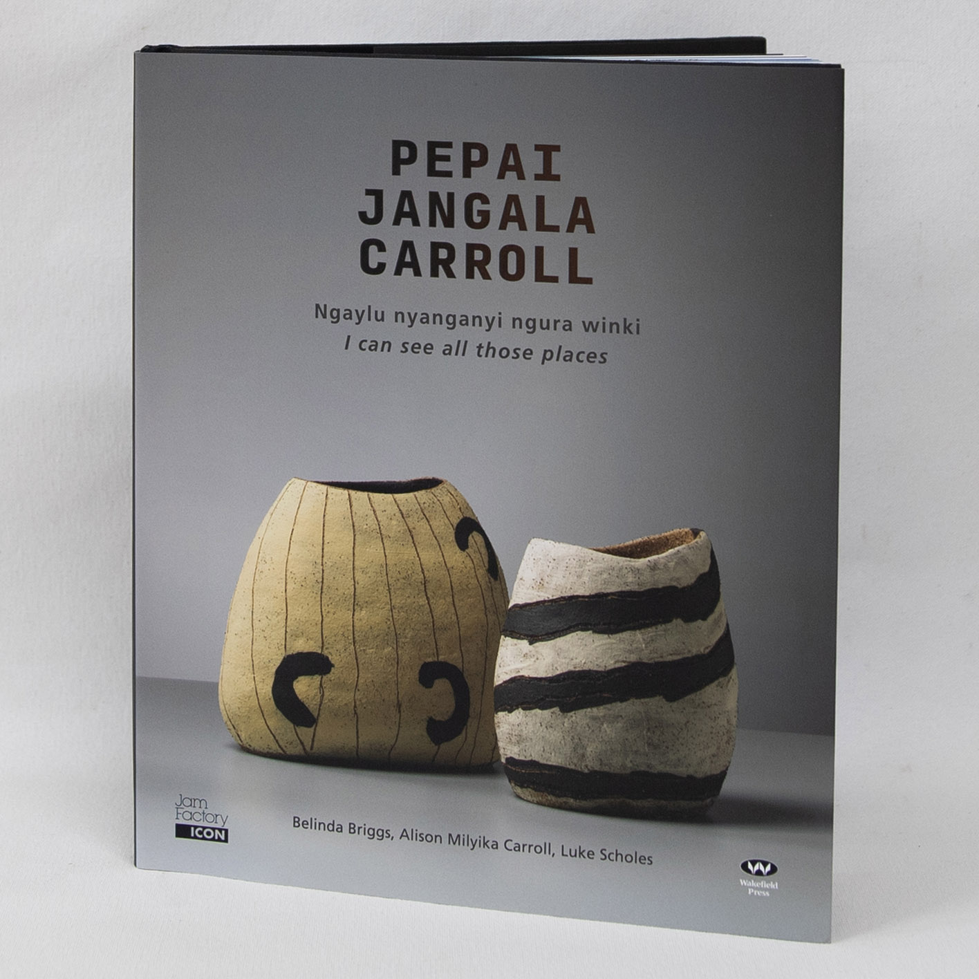 Pepai Jangala Carroll: Ngayulu nyanganyi ngura winki - I can see all those places -  -