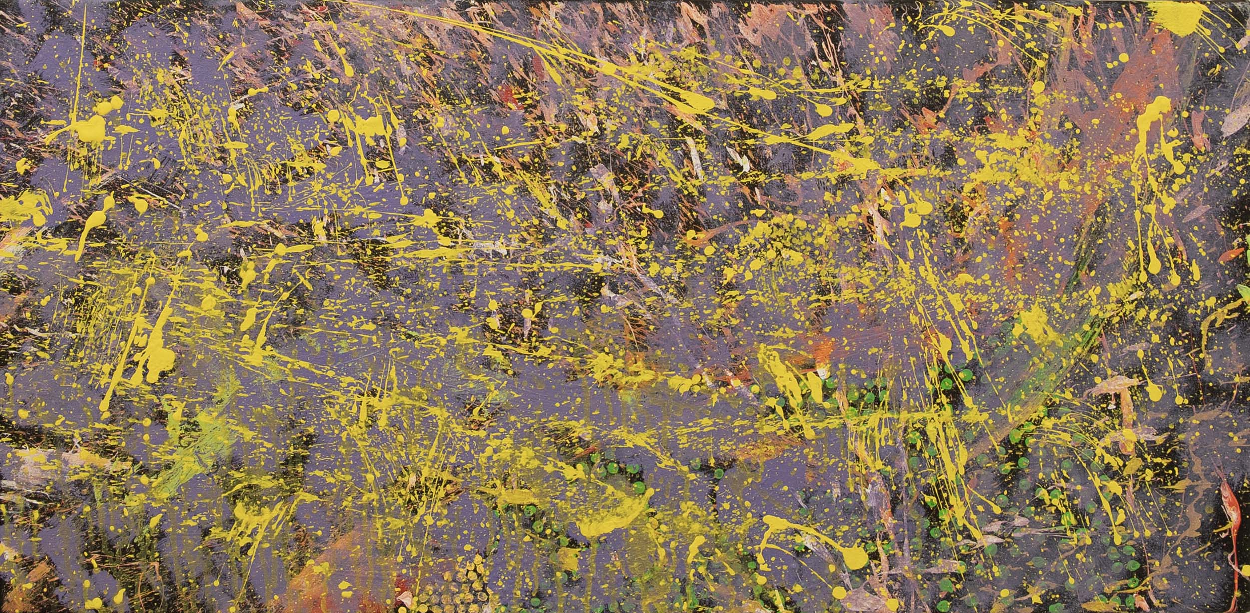 Ngayuku Walka / My Design - Paintings - Michael Rupert