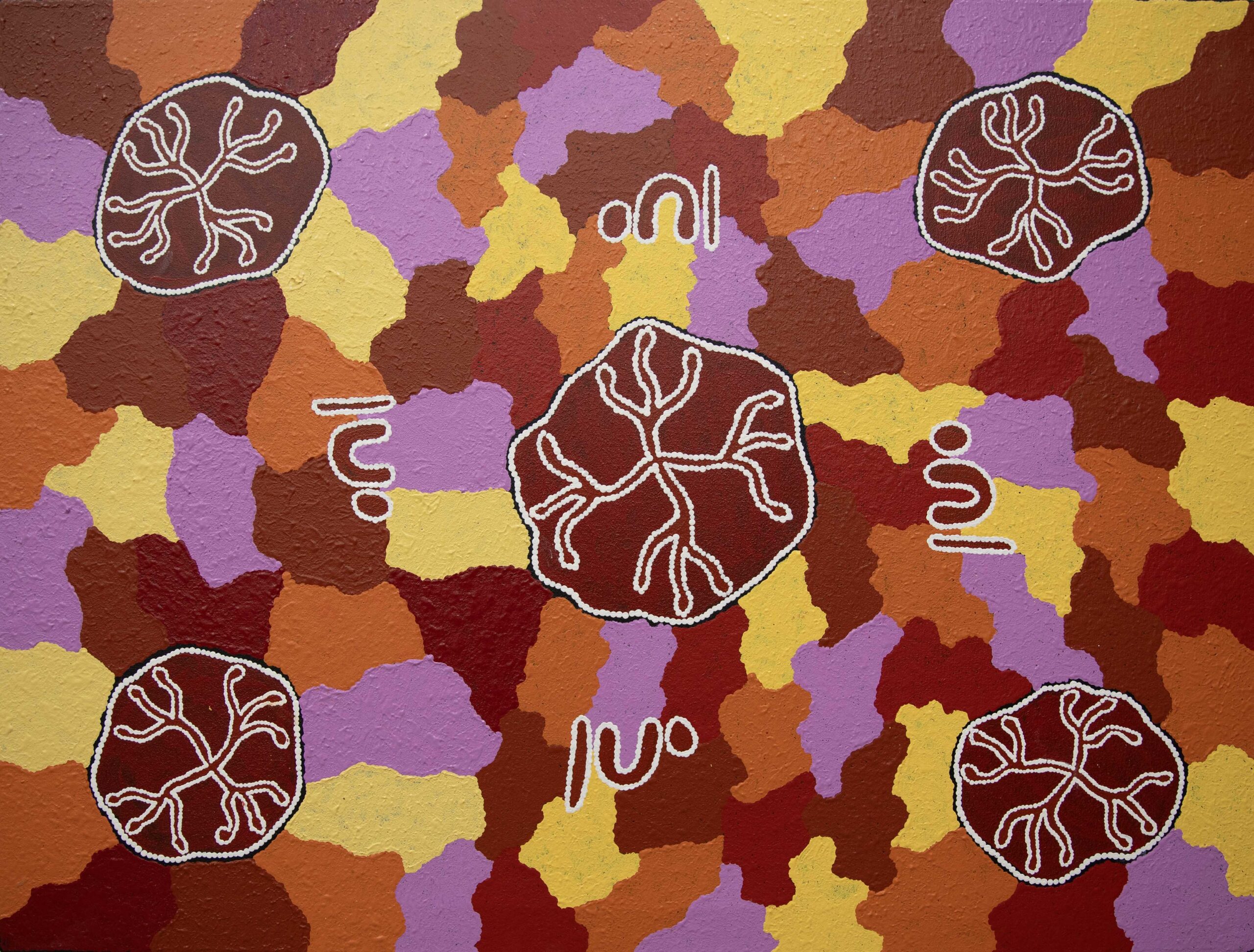 Tjanmata / Bush Onions - Paintings - Tessie Nelson