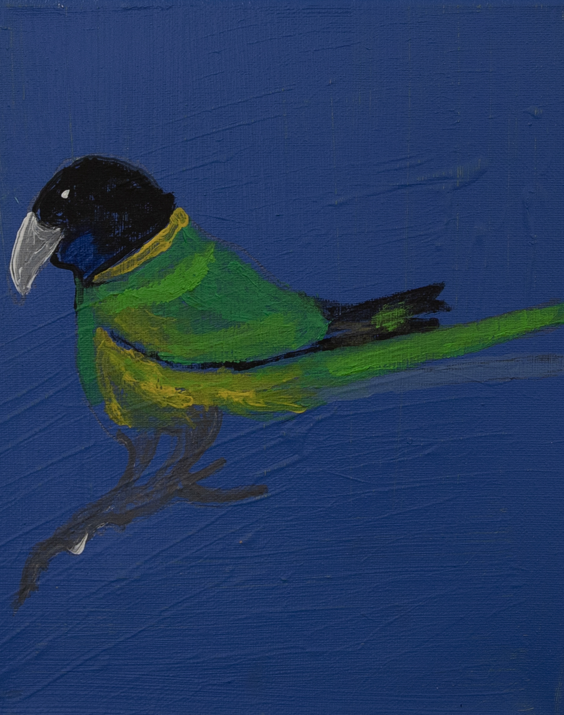 Jeffrey's Birds - Paintings - Jeffrey  Lewis