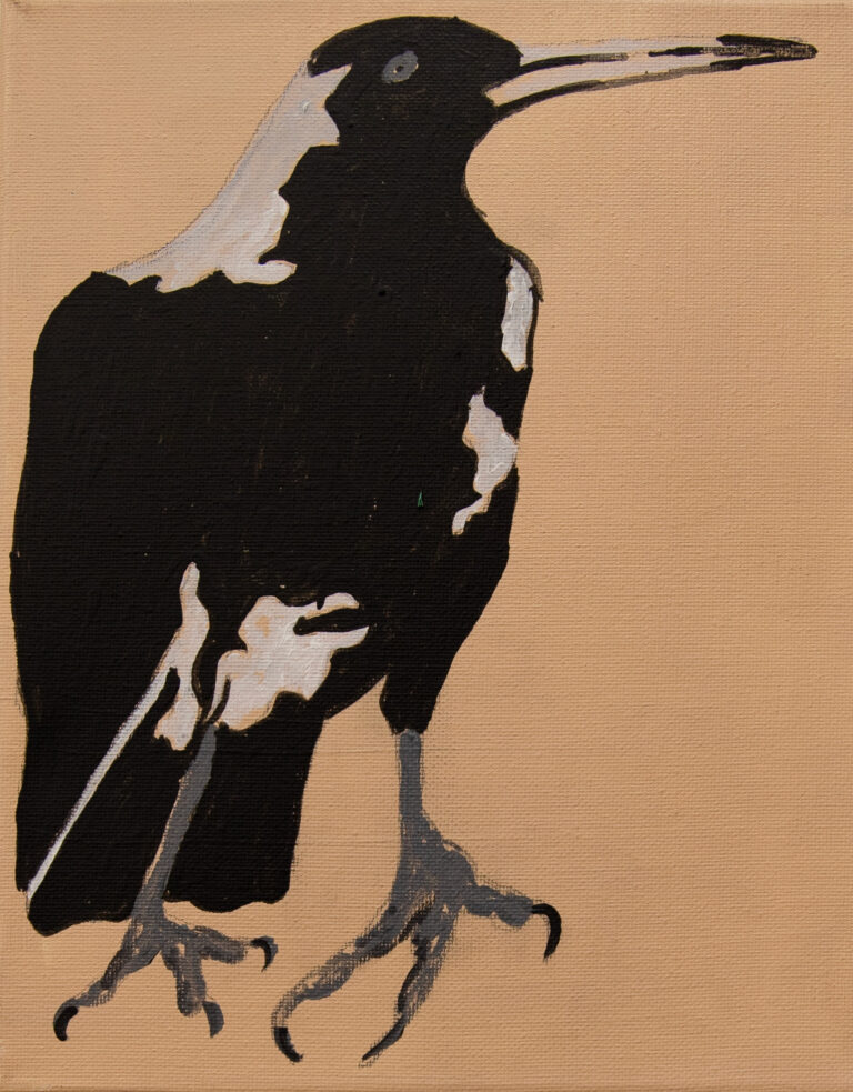 Jeffrey's Birds by Jeffrey Lewis - Image 2