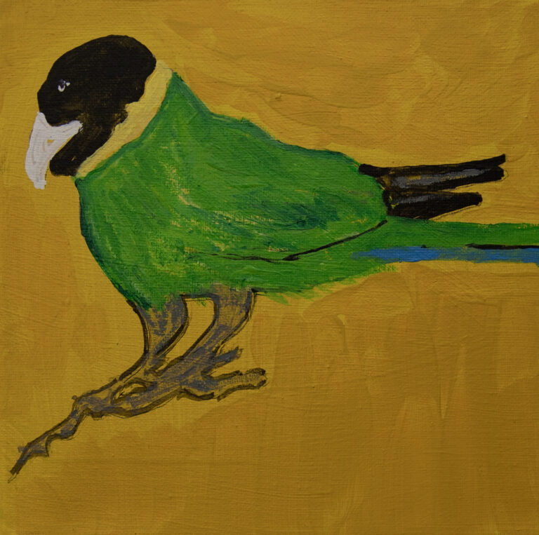 Jeffrey's Birds by Jeffrey Lewis
