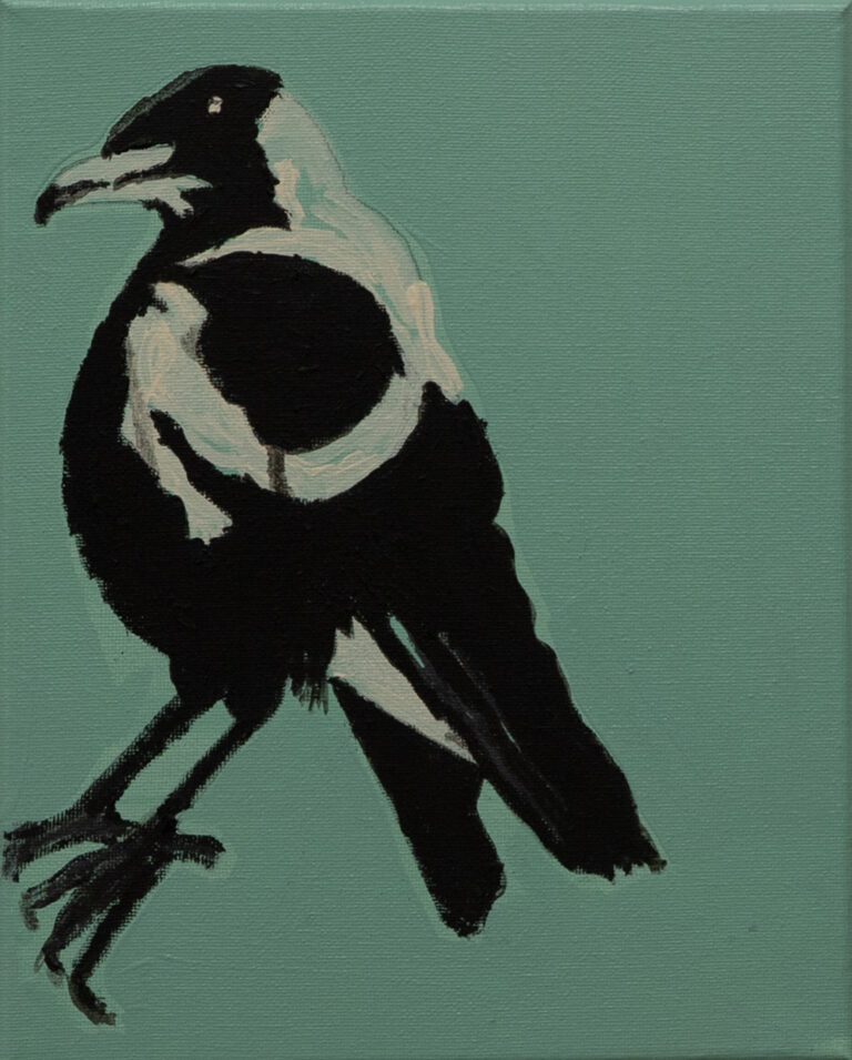 Jeffrey's Birds by Jeffrey Lewis